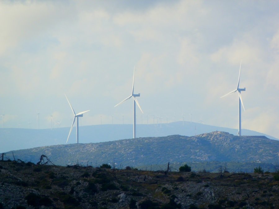 Economía circular en casas rurales: cómo ser más sostenible y rentable al mismo tiempo
