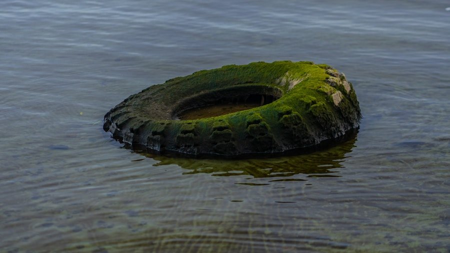 From Waste to Wealth: The Impact of an Eco-Circular Seal on Your Company’s Bottom Line
