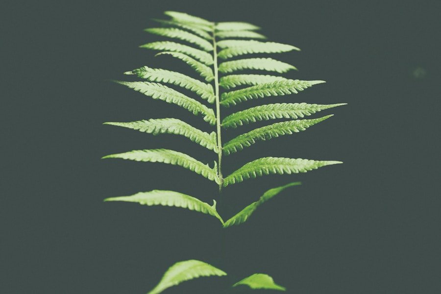 How Circular Seal Certification Helped GreenStep Companies Expand Their Sustainability Efforts