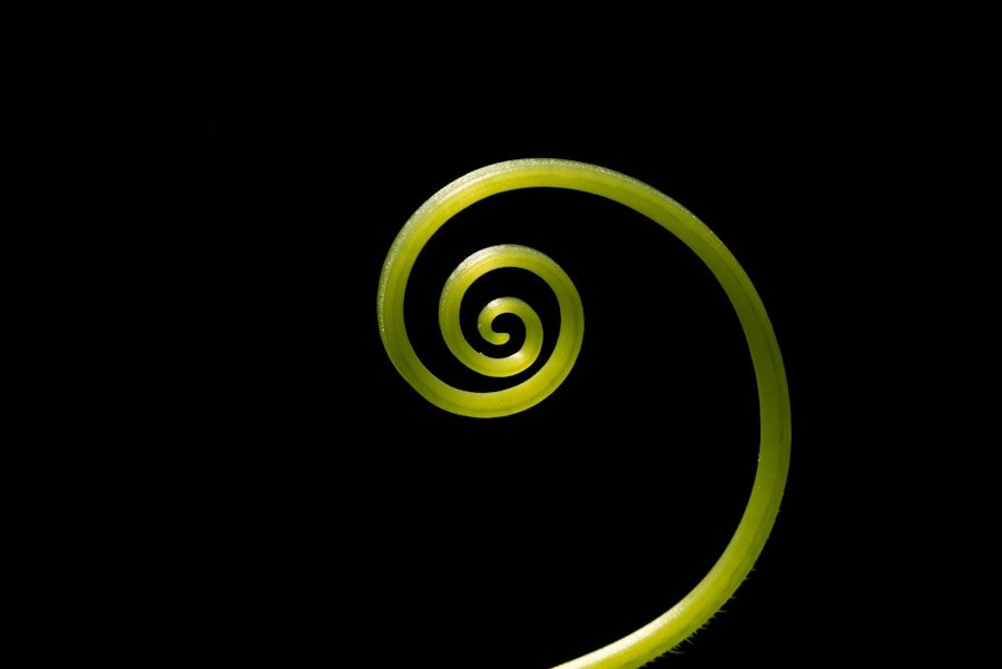 How to Use Circular Seal to Market Your Eco-Friendly Products: A Retailer’s Guide