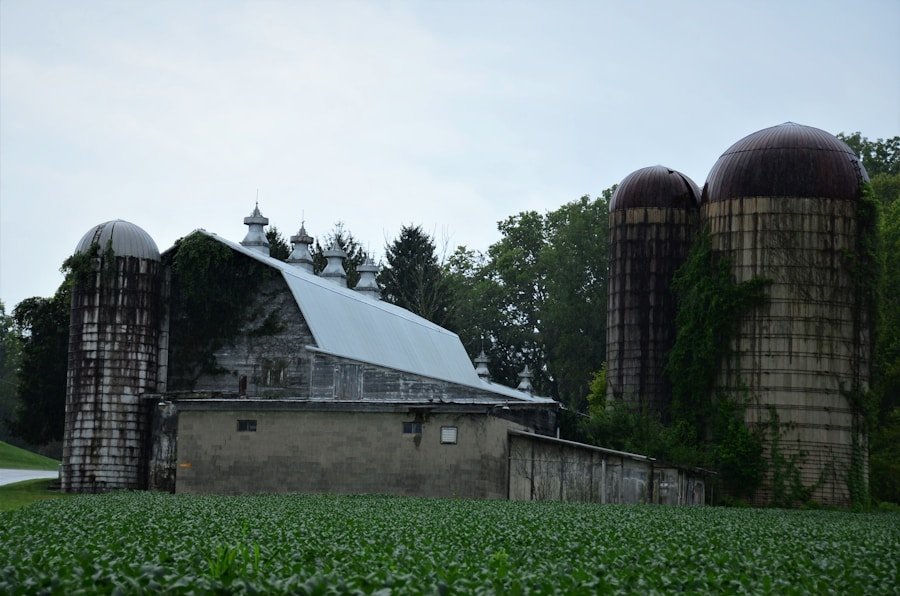 Closing the Loop: How Biogas from Food Waste is Transforming Agricultural Supply Chains