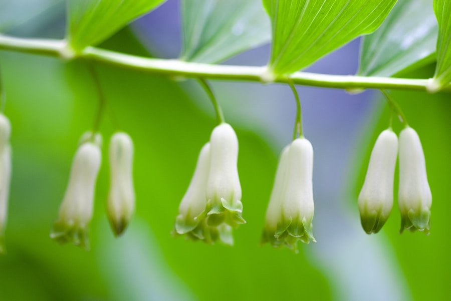 Unlocking Success: The Impact of the Independent Green Seal on Web Marketing Efforts