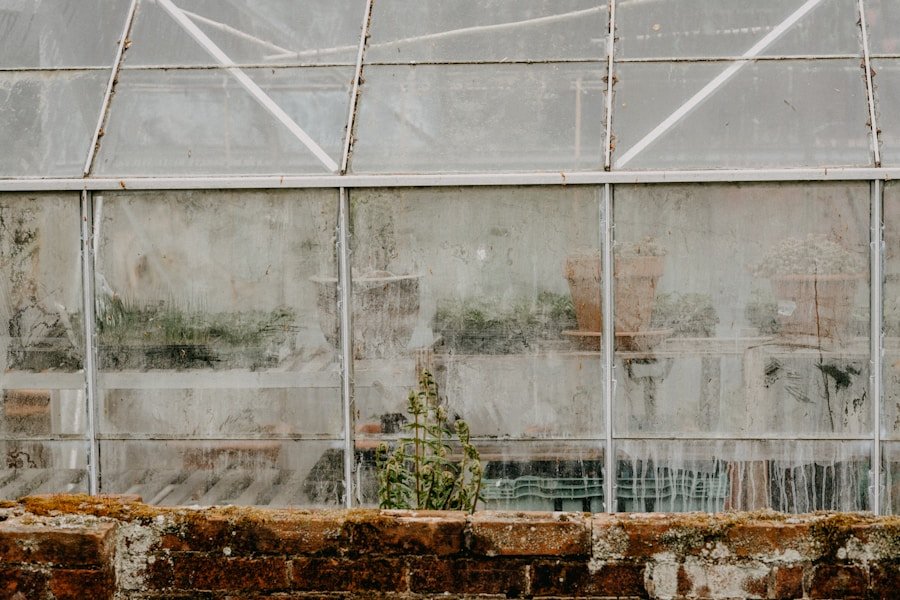 The Green Approach: Using Ecology to Drive Faster Digital Marketing Results