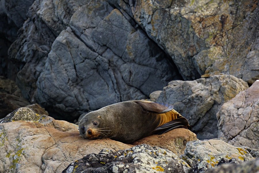 Unleashing the Potential of Eco Seals: How They Can Transform Your Food Brand’s Visibility
