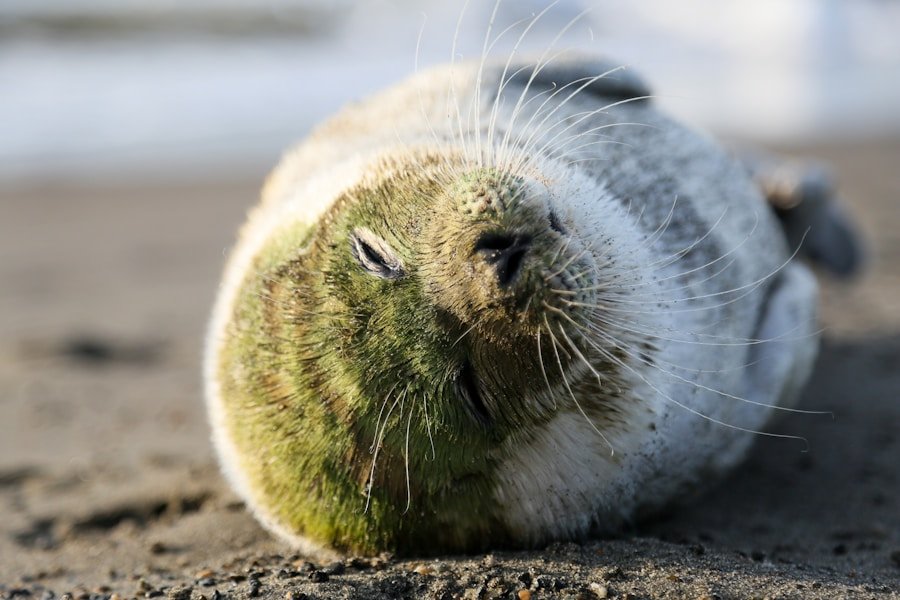 The Top Eco Seals That Will Make Your Online Store Irresistible to Conscious Shoppers