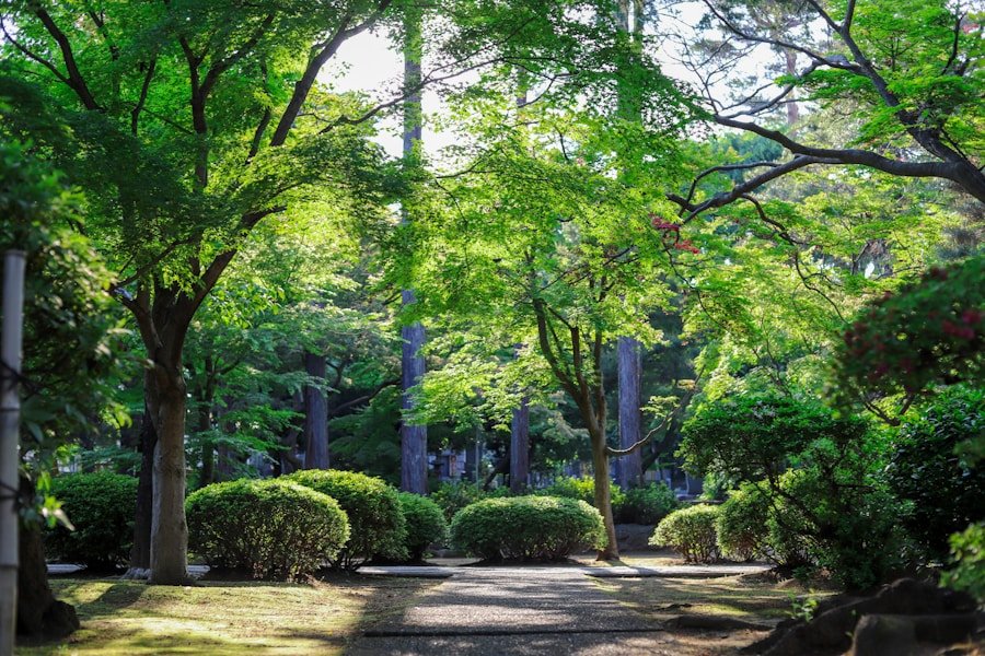 Healing Ourselves, Healing the Earth: The Interconnectedness of Holistic Practices and Ecology