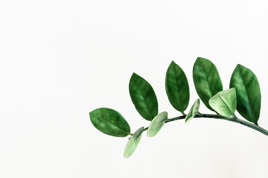 The Power of Eco Branding: How Natural Therapy Professionals Can Stand Out