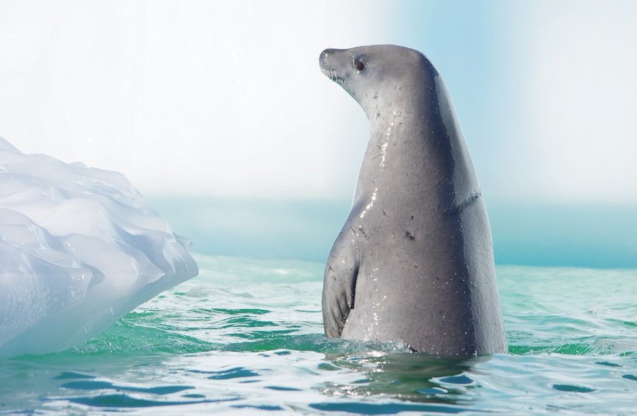 Unlocking the Benefits of Circular Seal Auditing: Internal vs. Third-party Verification Compared