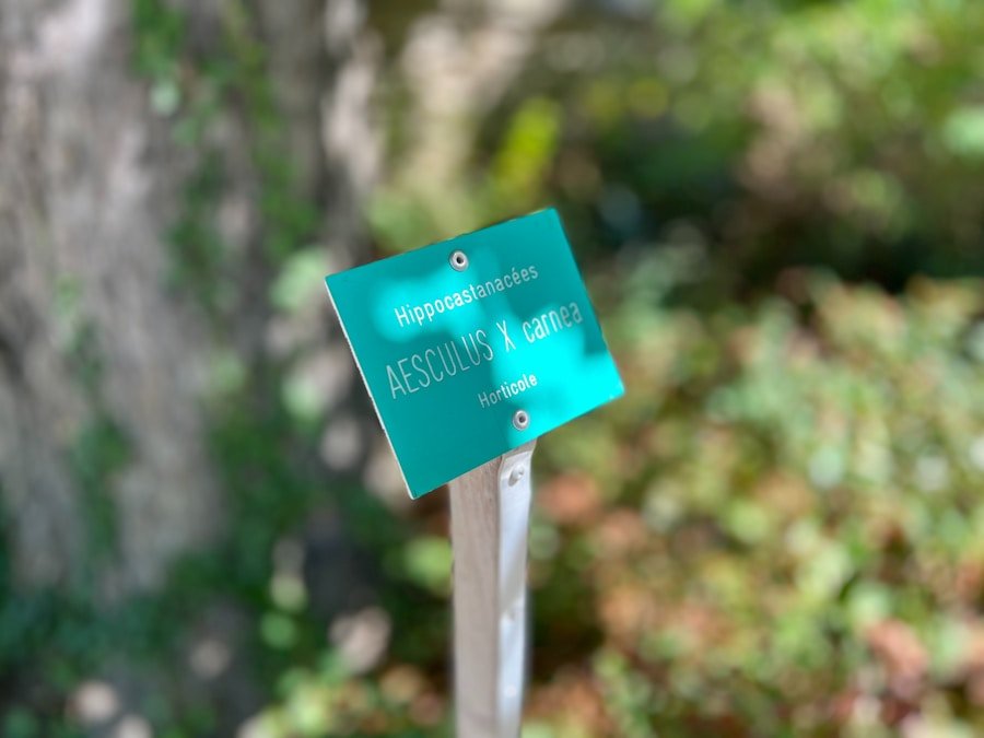 The Competitive Advantage of Eco Certifications: How They Can Set Your Brand Apart