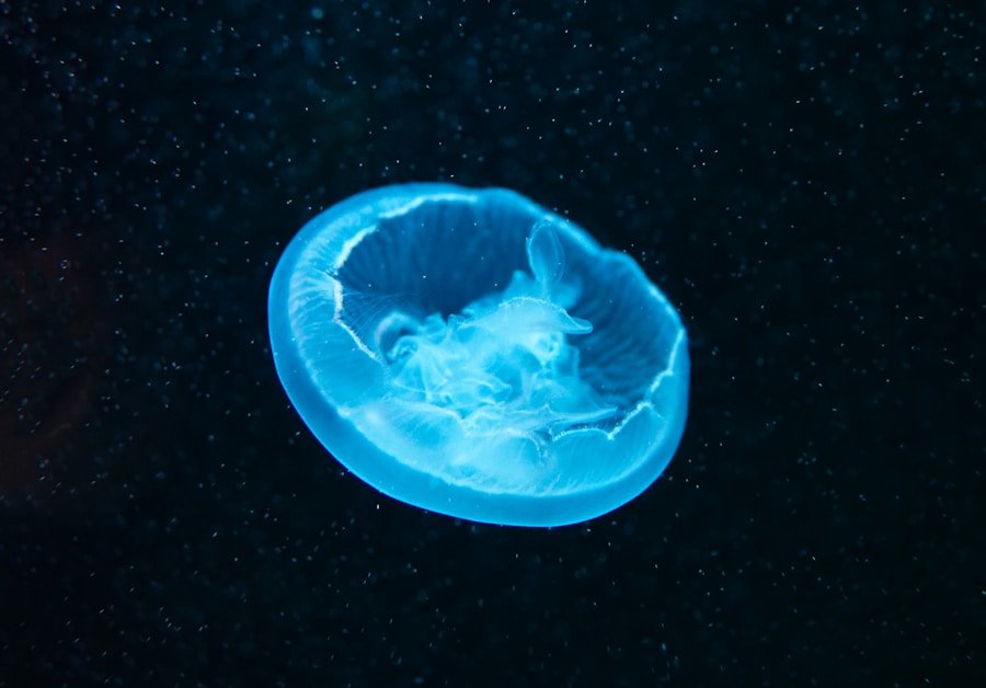 The Future of Employee Wellbeing: How Rebiore Circular Seal is Transforming Corporate Wellness in NEOM