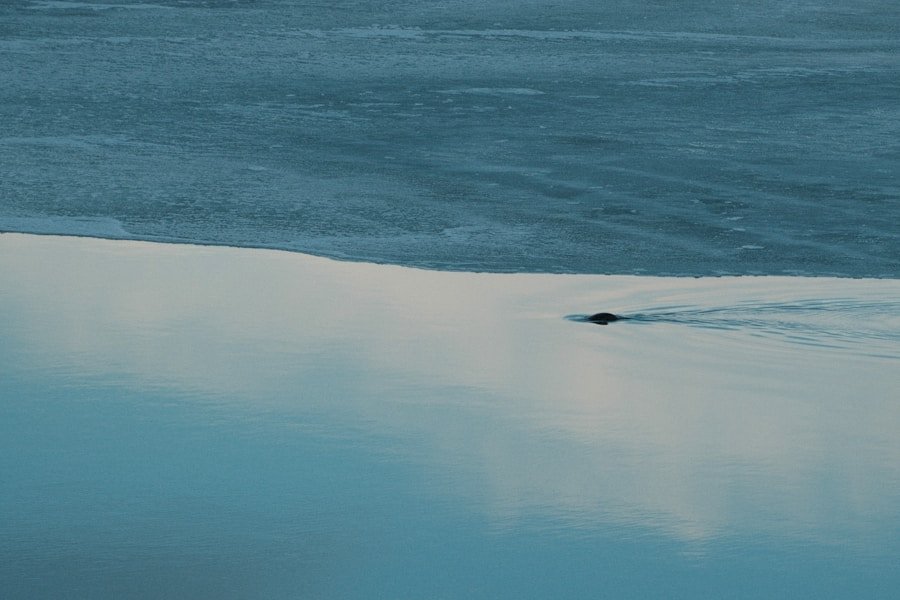 Choosing the Right Eco Seal: A Comparison of Rebiore and Other Options