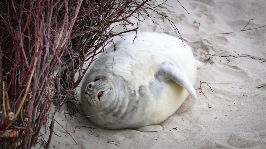 Enhance Your Hotel’s Green Credentials with the Rebiore Eco Circular Seal: 7 Key Benefits