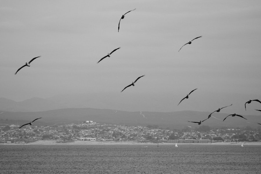 From Desert to Oasis: Dubai’s Thriving Sustainable Business Scene