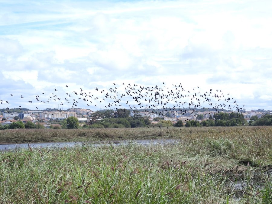 Meet the Eco-Friendly Jewelers of Dubai: Crafting Stunning Pieces with Recycled Metals