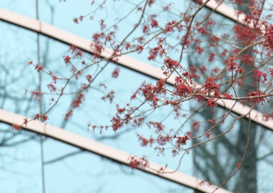 Exploring the Intersection of Circular Economy and Mental Wellness in the Workplace