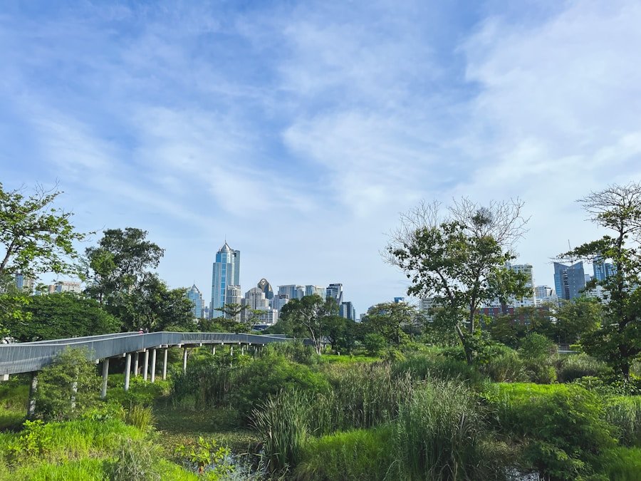 The Green Oasis: Dubai’s Journey Towards Sustainable Business Practices