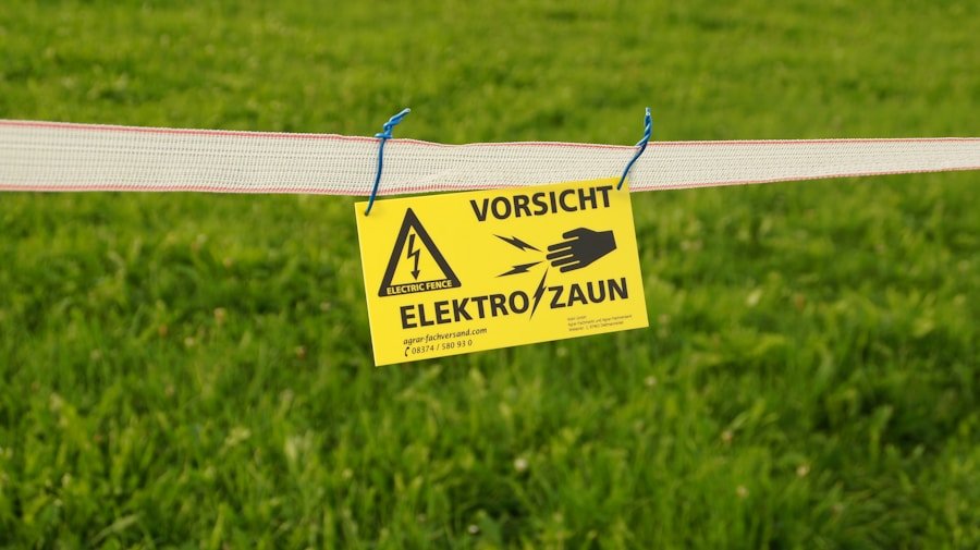 Going Global? Here’s Why Eco Certifications Should Be Your Top Priority