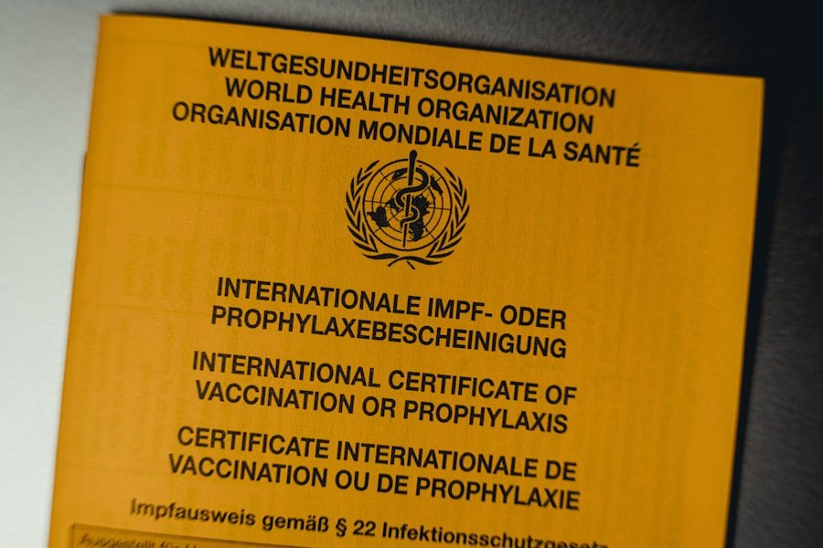 Setting the Standard: How ISO Certification Programs Can Boost Your Digital Business