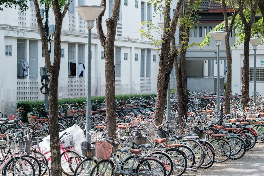 From Dubai to Doha: Uncovering the Most Cutting-Edge Sustainability Courses in the Middle East