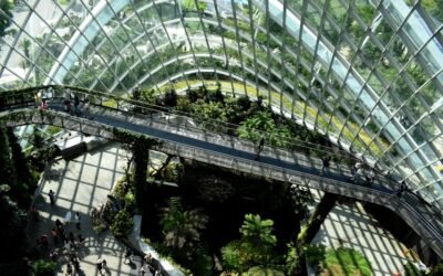 From Waste to Wealth: The Power of Environmental Business Design