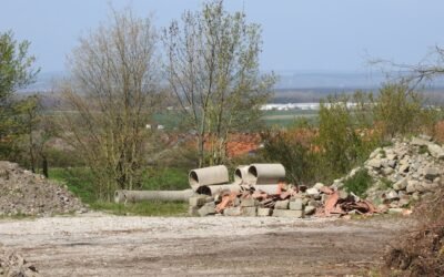 Sustainable Solutions: The Influence of Circular Economy Authority on Environmental Conservation