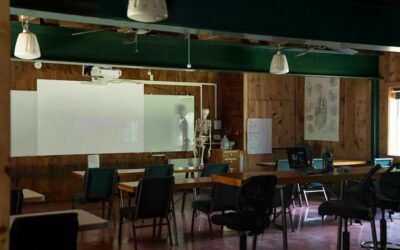 From Classroom to Circular Economy: The Role of Education in Sustainability