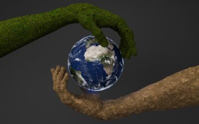 From Classroom to Career: The Impact of Circular Academies on Professional Development