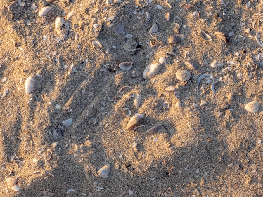 Understanding the Differences: Soft vs Hard Shell Chambers in Cultivation